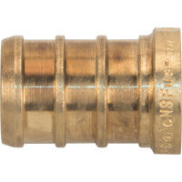 Capuchon de tuyau sans plomb, Tuyau, 1/2" dia., Laiton Pathway Supply LP