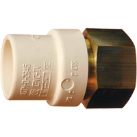 Threaded Pipe Adapter, Hub x FPT, 1" Dia., Brass/CPVC Pathway Supply LP