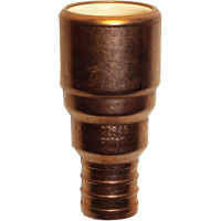 Pipe Adapter, Hub x Pex Barb, 3/4" Dia., Copper/CPVC Pathway Supply LP