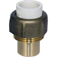 Raccord union, 1/2", PVC-C, Embout femelle x bras&eacute; Pathway Supply LP