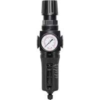 Filtre/r&eacute;gulateur drain manuel avec bol en m&eacute;tal Modulair 300, 1/4" NPT, 250 PSI, Capacit&eacute; de 5,1 oz liq. Pathway Supply LP