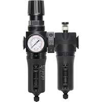 Filter, Regulator & Lubricator Modulair 300, 1/4" NPT Pathway Supply LP