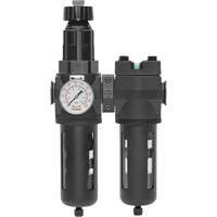 Filtre/d&eacute;tendeur & filtre coalescent Modulair 400 avec bol standard & drain manuel, 3/4" NPTF, 150 psi, Capacit&eacute; de 9,13 oz liq. Pathway Supply LP