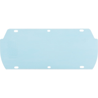 Visi&egrave;re Facetec en polycarbonate, Polycarbonate, Teinte Transparent Pathway Supply LP