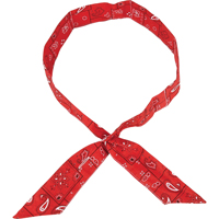 ALLEGRO INDUSTRIES Cool Offs Bandana, Red Pathway Supply LP