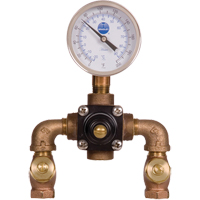 Vannes de m&eacute;lange thermostatiques, 7 gal./min Pathway Supply LP