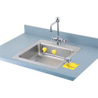 Poste de douche oculaire Swing-Away, Installation Montage sur comptoir Pathway Supply LP