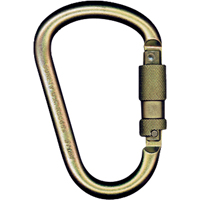 Carabiners, Steel, 5000 lbs Capacity Pathway Supply LP
