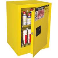 Armoire de s&eacute;curit&eacute; d'&eacute;tabli pour produits inflammables EX Sure-Grip, 24 gal., 1 Porte(s), 21" La x 27" h x 18" p Pathway Supply LP
