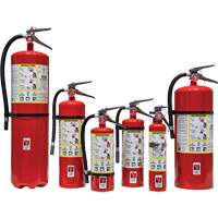Fire Extinguisher, ABC, 30 lbs. Capacity Pathway Supply LP