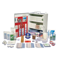 Workplace Deluxe First Aid Kits, Class 1 Medical Device, Metal Box Pathway Supply LP