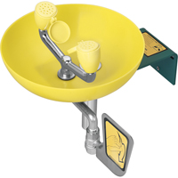 Eye/Face Wash Station, Wall-Mount Installation, Plastic Bowl Pathway Supply LP
