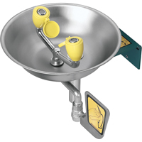 Eyewash Station, Wall-Mount Installation, Stainless Steel Bowl Pathway Supply LP