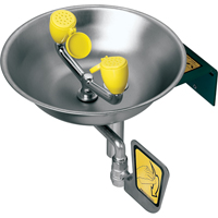 Eye/Face Wash Station, Wall-Mount Installation, Stainless Steel Bowl Pathway Supply LP