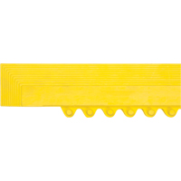 Rampe de bordure pour tapis Pathway Supply LP