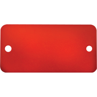 Blank Tags, Aluminum, 3" W x 1" H Pathway Supply LP