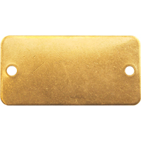 Blank Tags, Brass, 2" W x 1" H Pathway Supply LP
