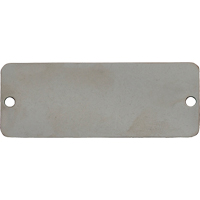Blank Tags, Stainless Steel, 3" W x 1" H Pathway Supply LP