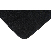Premium Anti-Skid Tape, 5.5" x 5-1/2", Black Pathway Supply LP