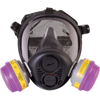 North&reg; RU6500 Series Full Facepiece Respirator, Silicone, Small Pathway Supply LP