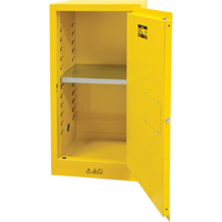 Flammable Storage Cabinet, 16 gal., 1 Door, 23" W x 44" H x 18" D Pathway Supply LP
