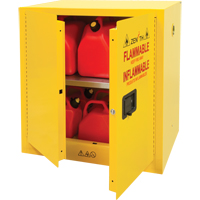 Flammable Storage Cabinet, 22 gal., 2 Door, 35" W x 35" H x 22" D Pathway Supply LP