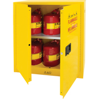 Armoire pour produits inflammables, 30 gal., 2 Porte(s), 43" La x 44" h x 18" p Pathway Supply LP