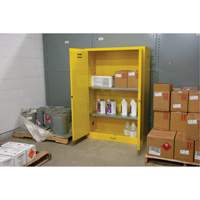 Flammable Storage Cabinet, 45 gal., 2 Door, 43" W x 65" H x 18" D Pathway Supply LP