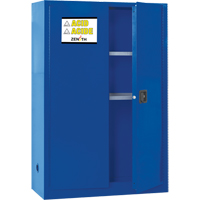 Corrosive Liquids Cabinet, 45 gal., 43" x 65" x 18" Pathway Supply LP