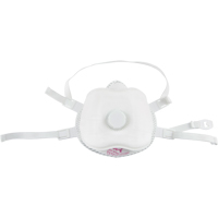 Respirateur contre les particules, P100, Certifi&eacute; NIOSH, Moyen/grand Pathway Supply LP