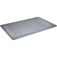Tapis antimicrobiens WD Foodmaster, Lisse, 3' x 4' x 9/16", Gris, Mousse de vinyle Pathway Supply LP