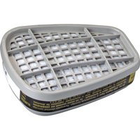 6000 Series Respirator Cartridges, Gas/Vapour Cartridge, Formaldehyde/Organic Vapour Pathway Supply LP