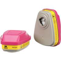 Cartouches pour respirateur s&eacute;rie 6000, Cartouche gaz/vapeur, Vapeurs organiques/Gaz acides/P100 Pathway Supply LP