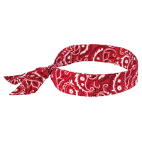 Chill-Its&reg; 6700 Cooling Bandanas, Red Pathway Supply LP
