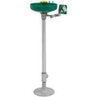 Axion&reg; Eye/Face Wash Station, Pedestal Installation, Plastic Bowl Pathway Supply LP