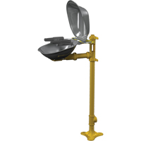 Postes de douche oculaire/faciale Halo, Installation Socle, Bol Acier inoxydable Pathway Supply LP