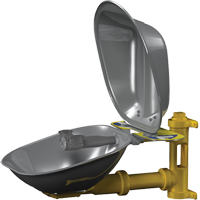 Poste de douche oculaire Halo, Installation Montage mural, Bol Acier inoxydable Pathway Supply LP