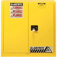 Armoire de s&eacute;curit&eacute; pour produits inflammables Ex Sure-Grip, 30 gal., 2 Porte(s), 36" La x 35" h x 24" p Pathway Supply LP