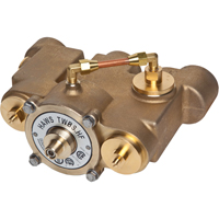 Vannes de m&eacute;lange thermostatique, 78 gal./min Pathway Supply LP