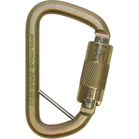 Rollgliss Technical Rescue Offset D Fall Arrest Carabiner, Steel, 3600 lbs Capacity Pathway Supply LP