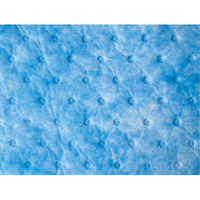 Balayage absorbant pour huile seulement Pathway Supply LP