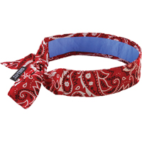Chill-Its&reg; 6700CT Cooling Bandanas, Red Pathway Supply LP