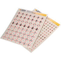 Assortiment d'&eacute;tiquettes avec pictogrammes sgh, Vinyle, Feuille, 1" lo x 1" la Pathway Supply LP