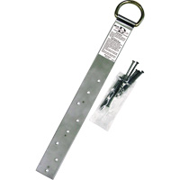 Ancrage simple pour toiture Miller, Anneau en D, Usage Permanent Pathway Supply LP