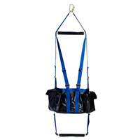 Suspended Workman's Chair Pathway Supply LP