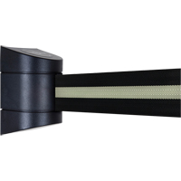 Unit&eacute;s murales Tensabarrier, Plastique, Fixation par vis, 15', Ruban Noir Pathway Supply LP