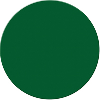 Marqueurs all&eacute;g&eacute;e/5S Armor Stripe, Cercle, 6" lo x 6" la, Vert, Plastique Pathway Supply LP
