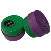 Cartouche pour respirateur, Combinaison cartouche et filtre contre les particules pour gaz/vapeurs, Ammoniac/M&eacute;thylamine/Filtre P100 Pathway Supply LP