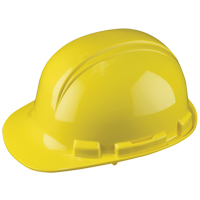 Casque de s&eacute;curit&eacute; Whistler de North, R&eacute;pond aux normes CSA type 1, Suspension &agrave; douille, Non ventil&eacute; Pathway Supply LP