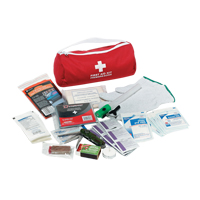 Trousse de premiers soins pour auto Dynamic, Dispositif m&eacute;dical Classe 1, Sac en nylon Pathway Supply LP